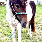 아파트 Du Nl Ranch